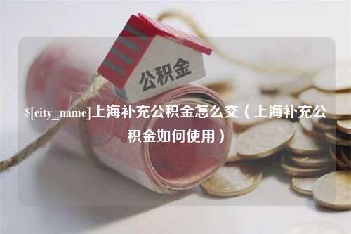 万宁上海补充公积金怎么交（上海补充公积金如何使用）